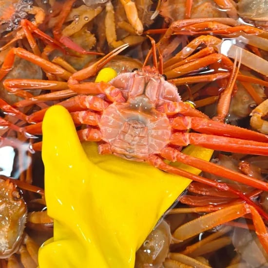 당일조업 구룡포 홍게 A급 4kg 13-15마리 80% 수율보장제 18,940원