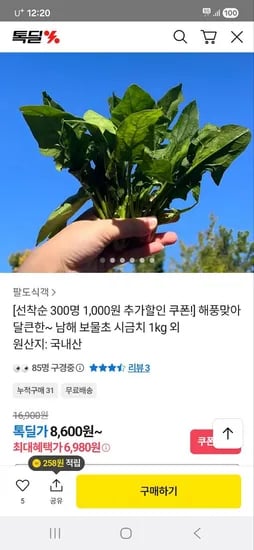남해 보물초 시금치 1kg 6,980원 무배