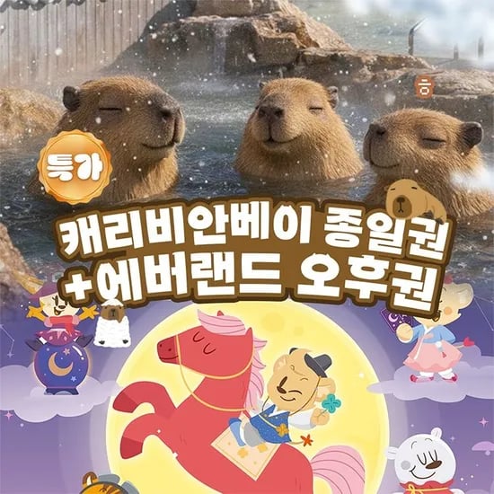 용인 캐리비안베이 종일이용권+에버랜드 오후권 27360원