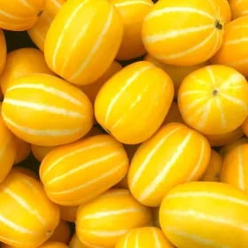 산지직송 가정용 성주 꿀 참외 2kg(혼합과) 12,920 무배