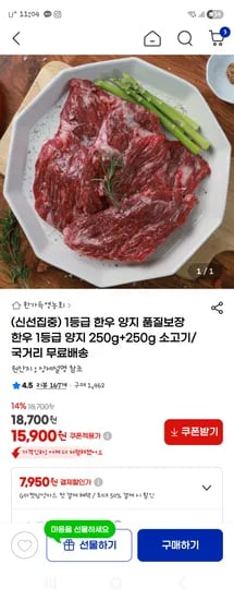 1등급 한우 양지 250g+250g 15,900원 무배