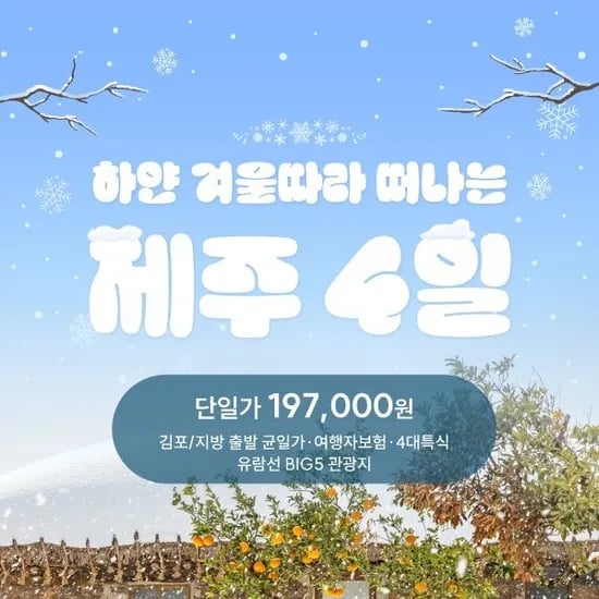 겨울 제주패키지 여행 3박4일 숙박+보험+특식+관광지 197,000원