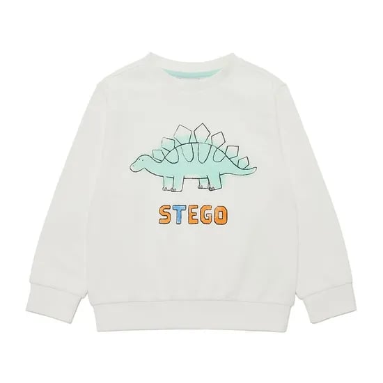 래핑차일드 다이노 맨투맨 12,150원