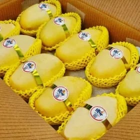 프리미엄 고당도 골드망고 4kg 28,860원