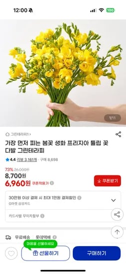 봄꽃 생화 프리지아 꽃다발