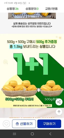 성주 꿀 참외 1kg + 500g