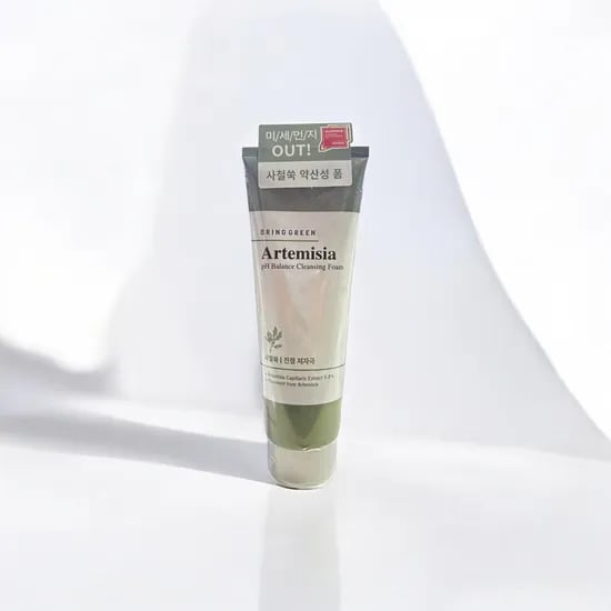 브링그린 사철쑥 약산성 클렌징폼 250mL 2개
