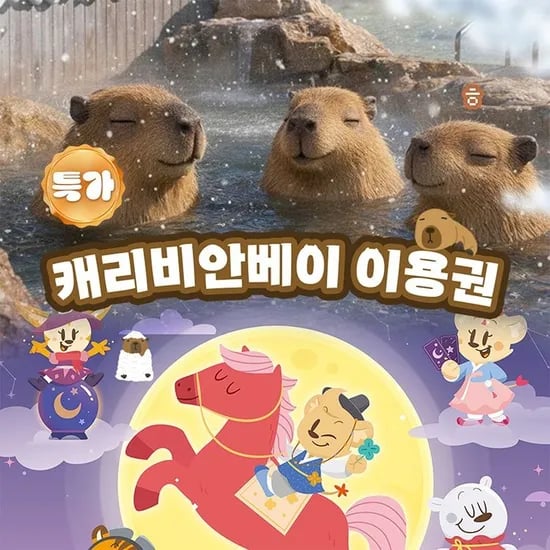 용인 캐리비안베이 종일이용권 에버랜드 콤비 이용권