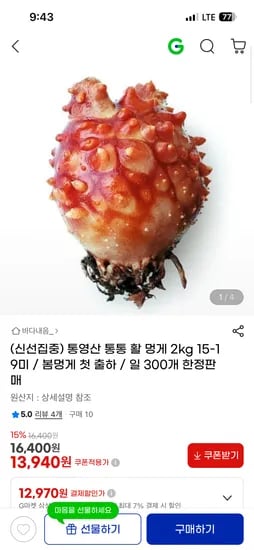 통영산 활 멍게 2kg 15-19미