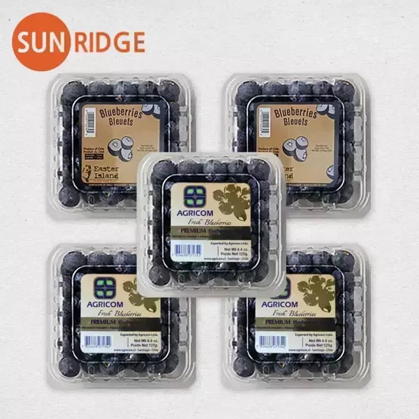 칠레 생 블루베리 125g 5팩