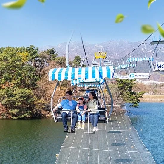 과천 서울대공원 리프트 2회 + 동물원 입장권