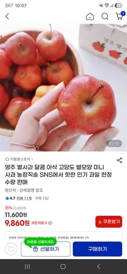 미니 별사과 소과 1kg 17-25과 내외