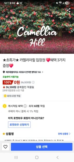 제주도 카멜리아힐 입장권