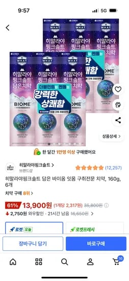 히말라야핑크솔트 담은 바이옴 잇몸 구취전문 치약, 160g, 6개 13,900원