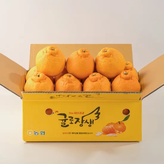 제주남원농협 곱들락 제주 한라봉 2kg 1박스, 15,900원