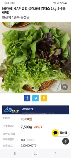 GAP 유럽 샐러드용 쌈채소 1kg 5-6종 랜덤