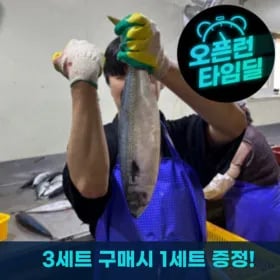 국내산 부산 손질 자반 고등어 특대 2마리