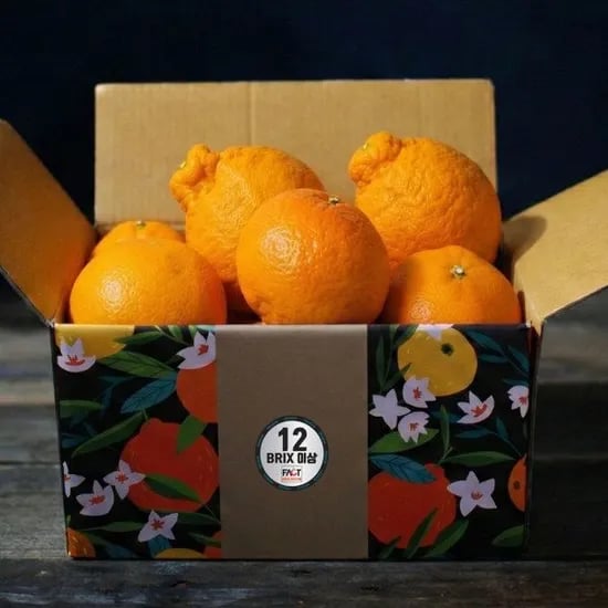 가정용 레드향 2kg
