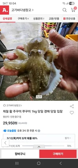 국산 활 쭈꾸미 1kg 29,950원 무배
