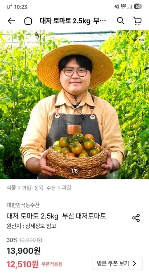 대저 토마토 2.5kg 12,510원 무배