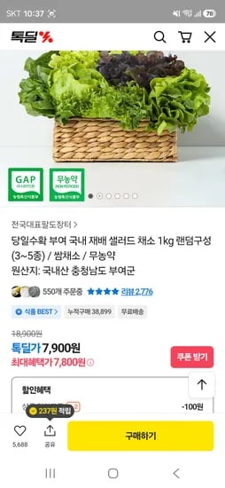 부여 샐러드채소 1kg 7800원