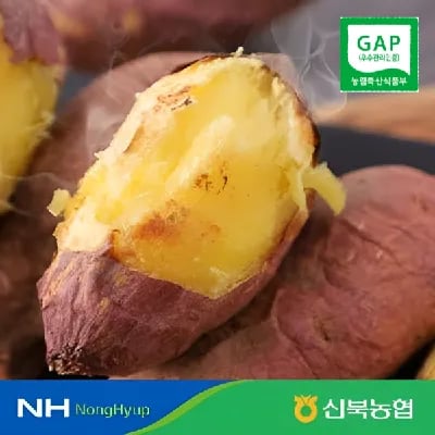 영암 황토 세척 꿀고구마 3kg 한입 8,450원 외 다양