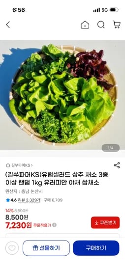 유럽 샐러드 채소 1kg 7,230원
