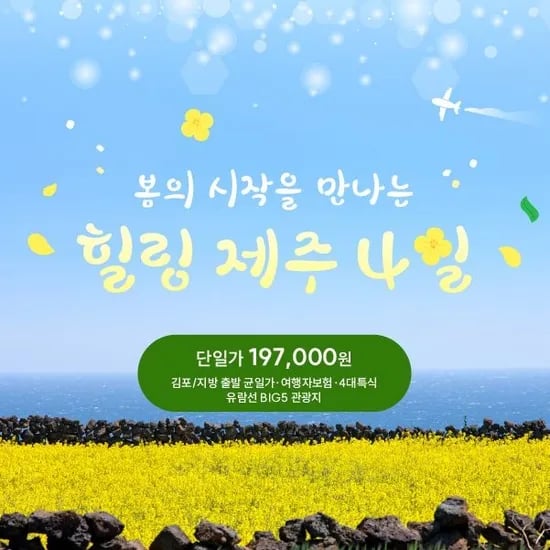 제주패키지 여행 3박4일 + 항공/숙박 197,000원