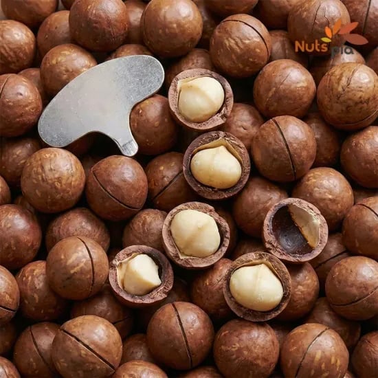 통 마카다미아 1kg