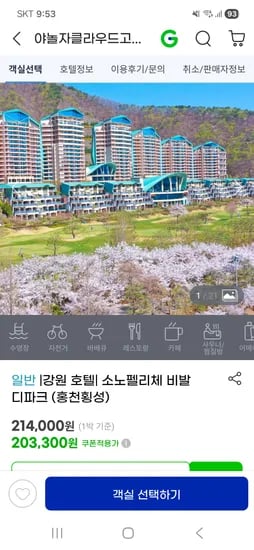 봄 시즌 소노펠리체 비발디파크 특가 203,300원~