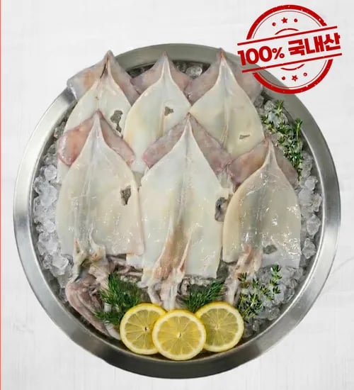 국내산 못난이 파품 손질오징어 1kg 8~12마리 11960원 무배