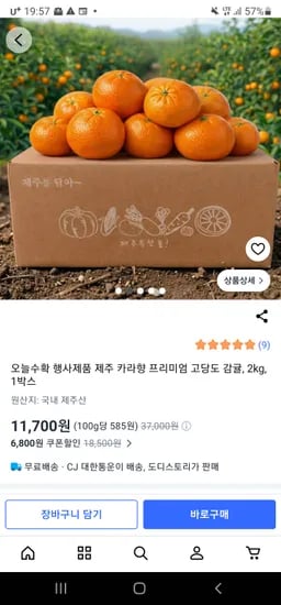 제주 고당도 카라향 2kg 1박스