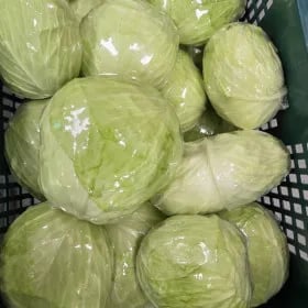 아삭 달달 양배추 5kg 유클가 6,720원 무배