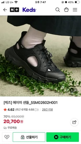 에이미 샌들