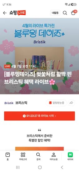 브리스틱 유아 어린이 칫솔 25개 41310원 (개당 1652원)