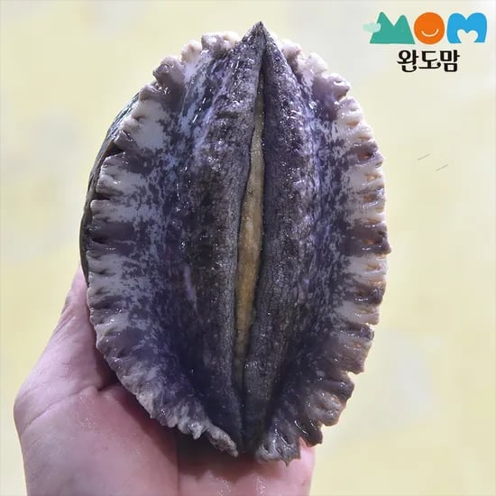 완도맘 활전복 1kg 17,920원