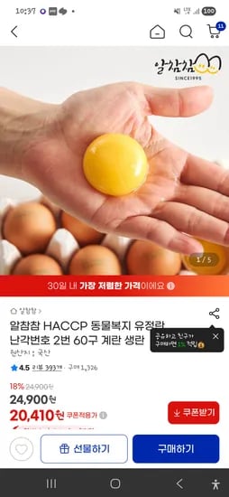 유정란 난각번호 2번 60구 대란 19170원(인스타 쿠폰 2천원 사용)