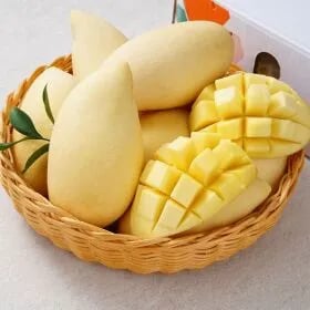 태국 망고 4kg 8-12과 25,020원 무배