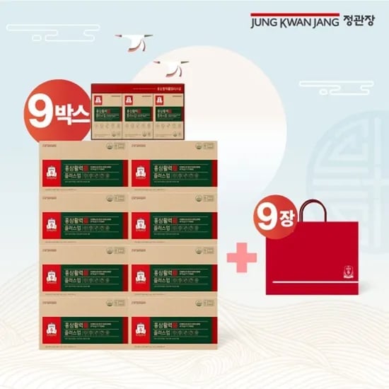 정관장 홍삼활력플러스업 9박스 쇼핑백 9장
