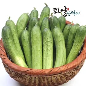 백다다기 오이 4kg 13,450원