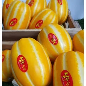 꿀벌 성주참외 가정용 4.5kg 랜덤혼합 19,380원