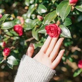 제주 카멜리아힐 소인 유클 5,780원