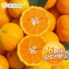 제주대정농협 16Brix이상 카라향 3kg+500g 추가증정 15960원 무배