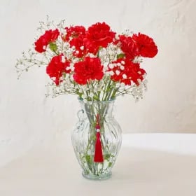 특상급 카네이션 생화 어버이날 생화 7,960원
