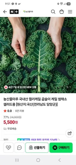 국내산 컬리케일 쌈채소 샐러드용 500g