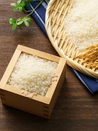 당일도정 진주닮은쌀 10kg 특등급 29,995원 무배