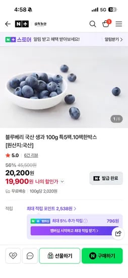 실속농산 블루베리 생과 5팩