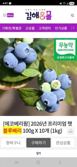 블루베리 100g 10개