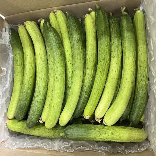 백다다기 오이 1kg 5,420원