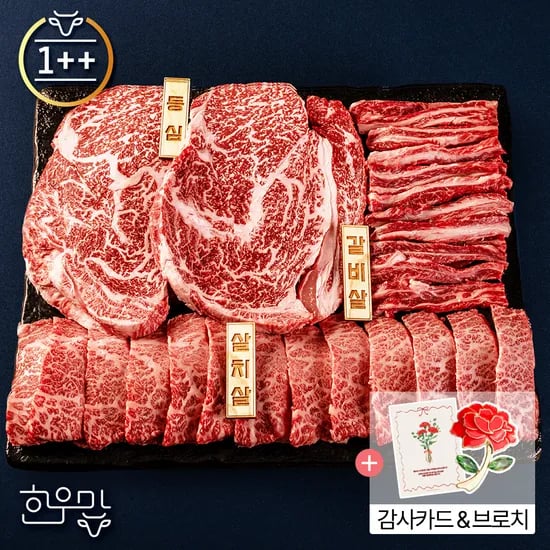 1++한우 프리미엄 구이 선물세트 1kg